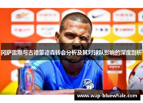 冈萨雷斯与古德蒙德森转会分析及其对球队影响的深度剖析