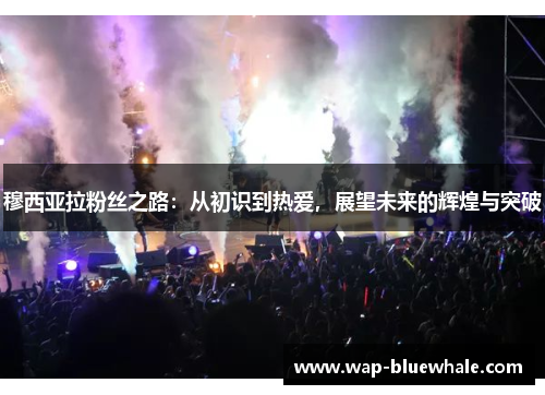 穆西亚拉粉丝之路：从初识到热爱，展望未来的辉煌与突破