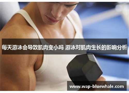 每天游泳会导致肌肉变小吗 游泳对肌肉生长的影响分析