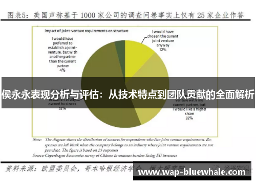 侯永永表现分析与评估：从技术特点到团队贡献的全面解析
