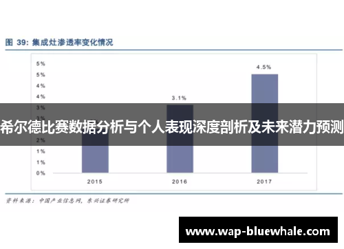 希尔德比赛数据分析与个人表现深度剖析及未来潜力预测