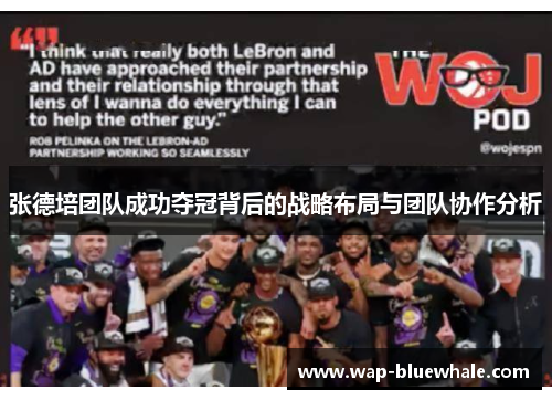 张德培团队成功夺冠背后的战略布局与团队协作分析