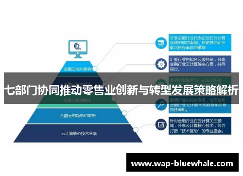 七部门协同推动零售业创新与转型发展策略解析