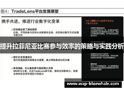 提升拉菲尼亚比赛参与效率的策略与实践分析