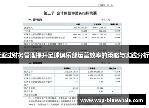 通过财务管理提升足球俱乐部运营效率的策略与实践分析