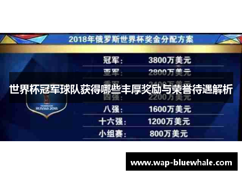 世界杯冠军球队获得哪些丰厚奖励与荣誉待遇解析