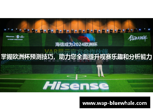 掌握欧洲杯预测技巧，助力您全面提升观赛乐趣和分析能力