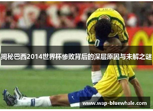 揭秘巴西2014世界杯惨败背后的深层原因与未解之谜